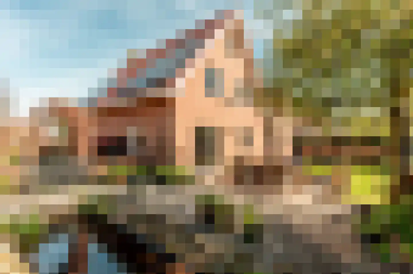 Helmgras 8 Zeewolde thumbnail 48
