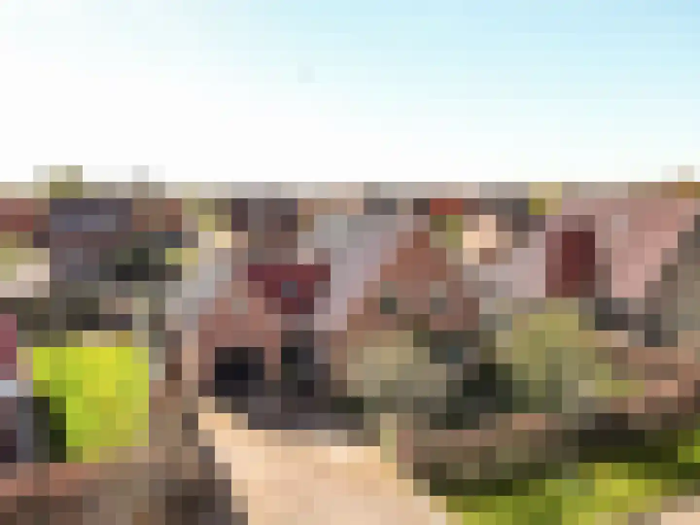 Helmgras 8 Zeewolde thumbnail 49