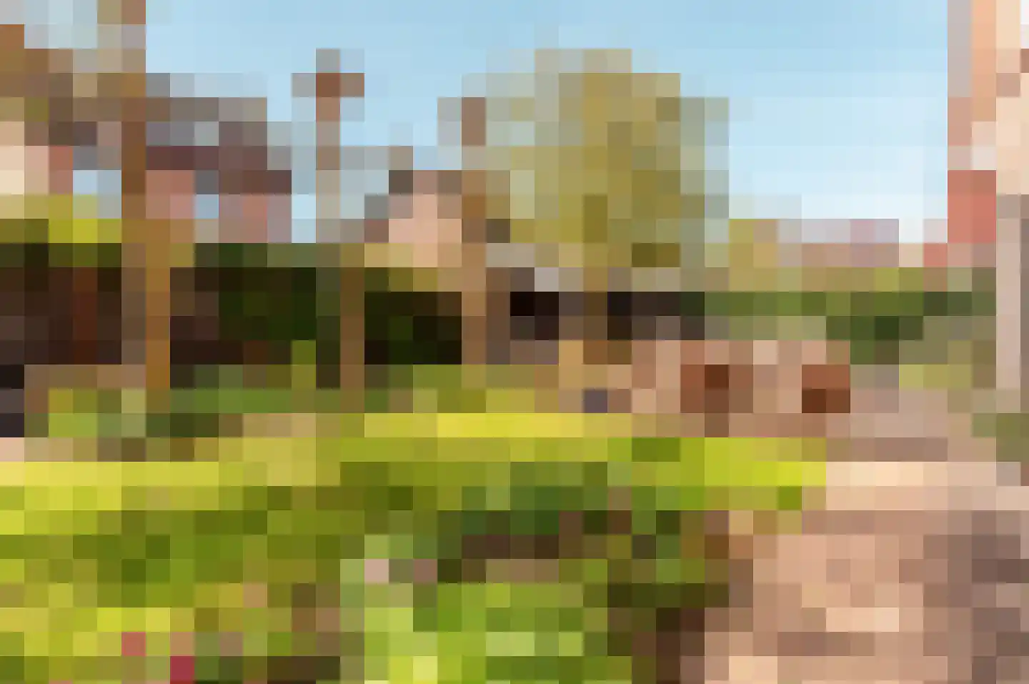 Helmgras 8 Zeewolde thumbnail 5