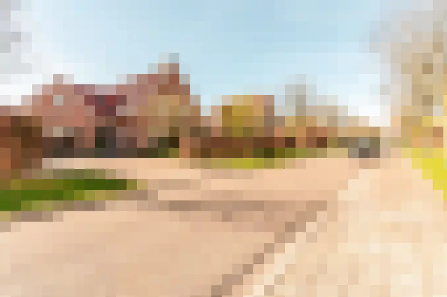 Helmgras 8 Zeewolde thumbnail 51