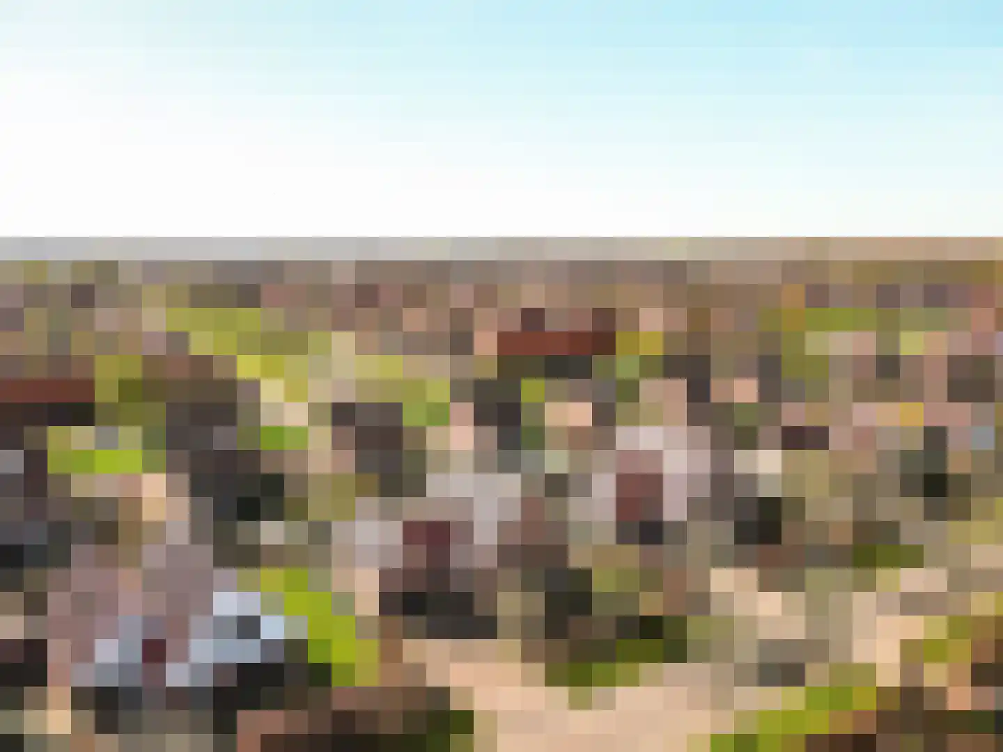 Helmgras 8 Zeewolde thumbnail 53