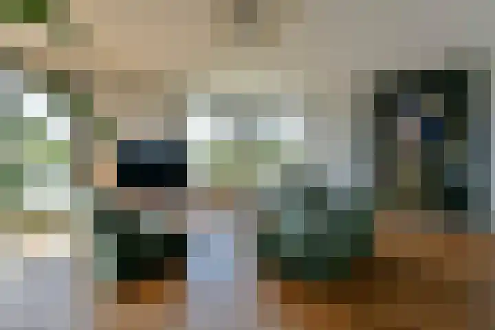 Helmgrasstraat 5 Amsterdam thumbnail 8