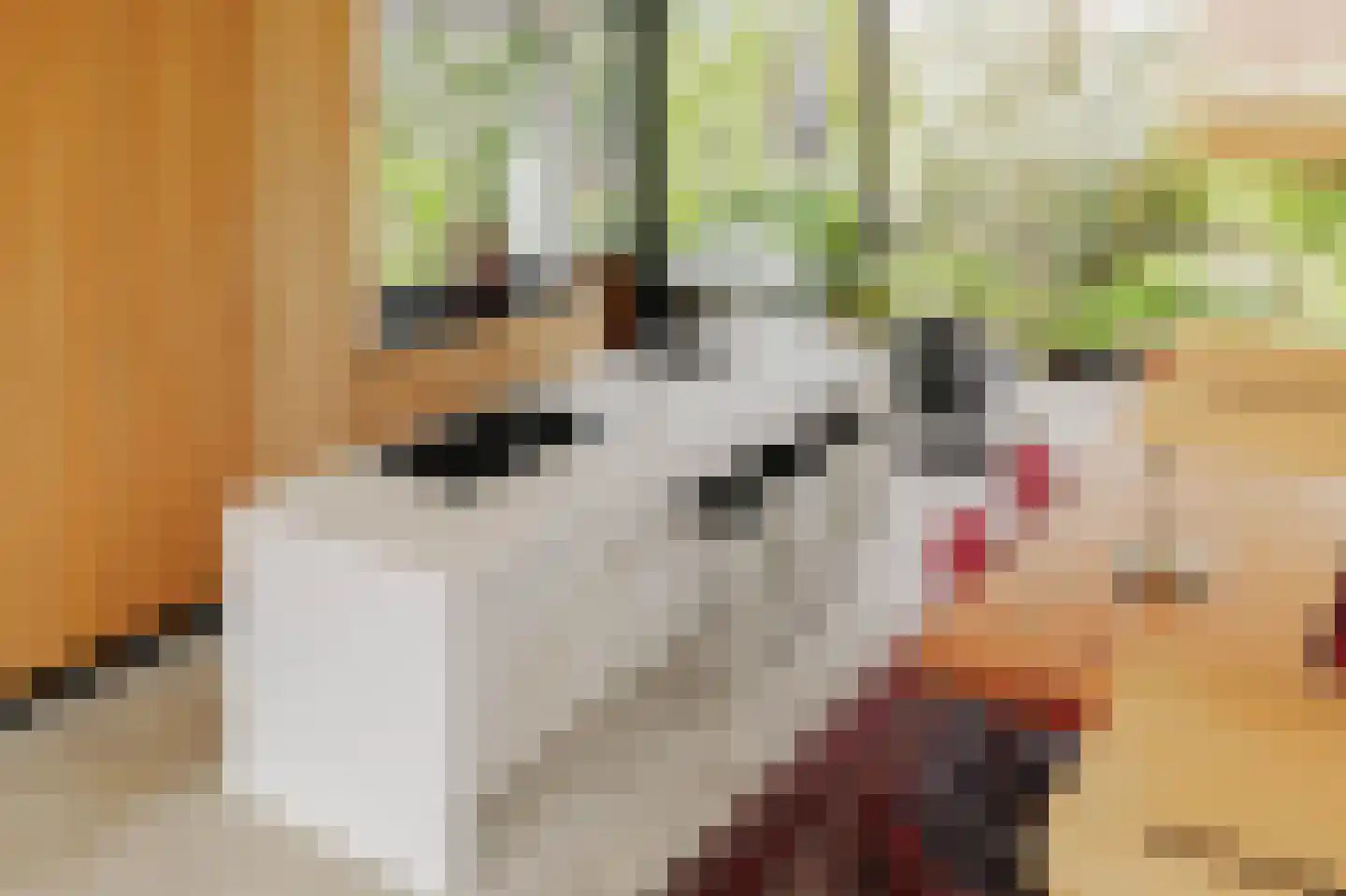 Helmgrasstraat 8 Amsterdam thumbnail 10