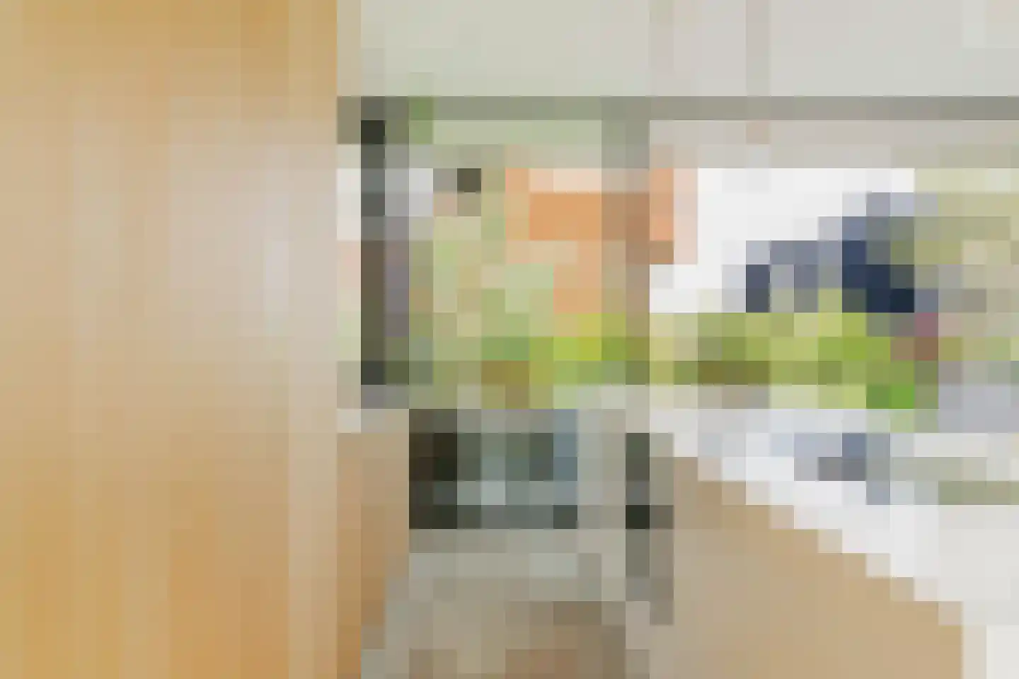 Helmgrasstraat 8 Amsterdam thumbnail 14