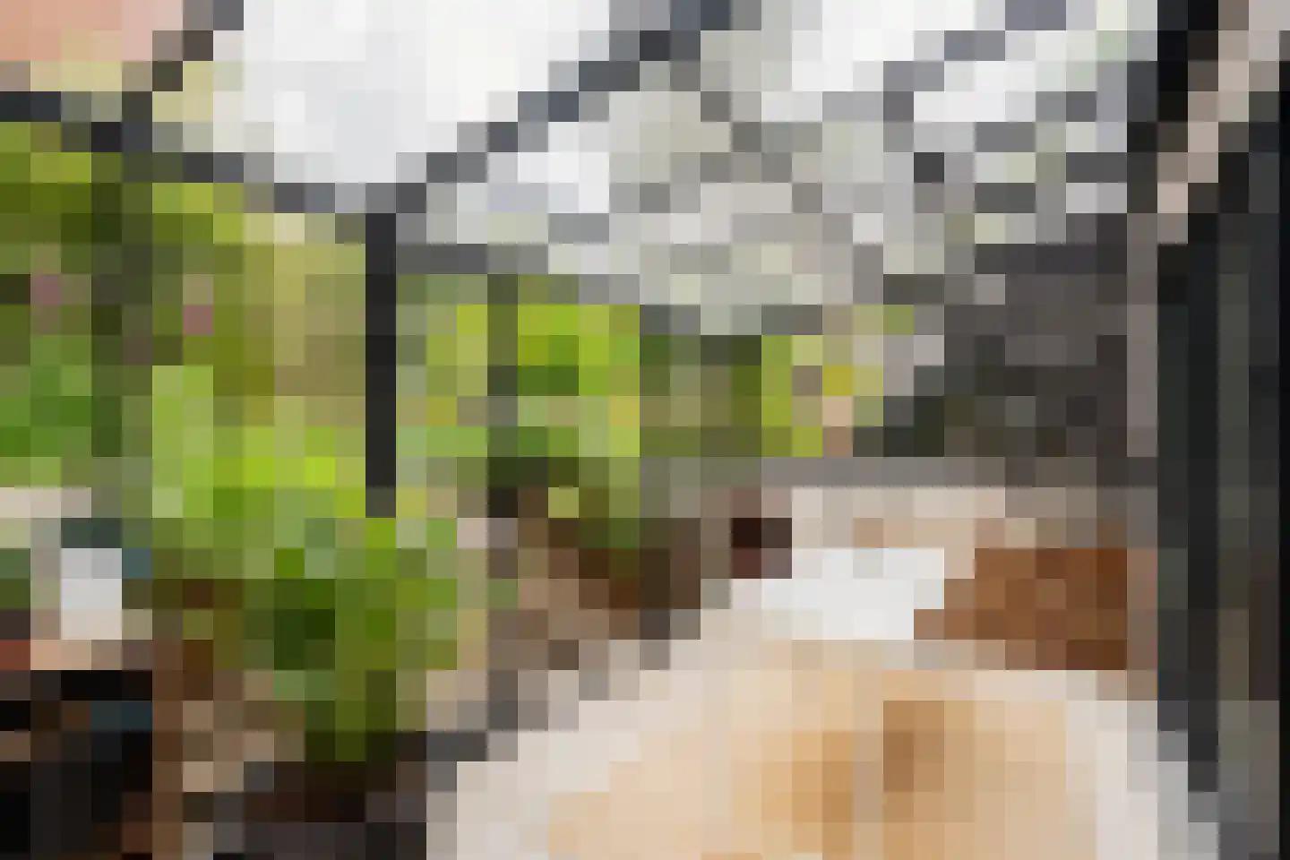 Helmgrasstraat 8 Amsterdam thumbnail 37