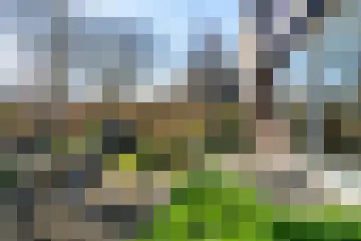Helmhof 32 Alphen aan den Rijn thumbnail 14
