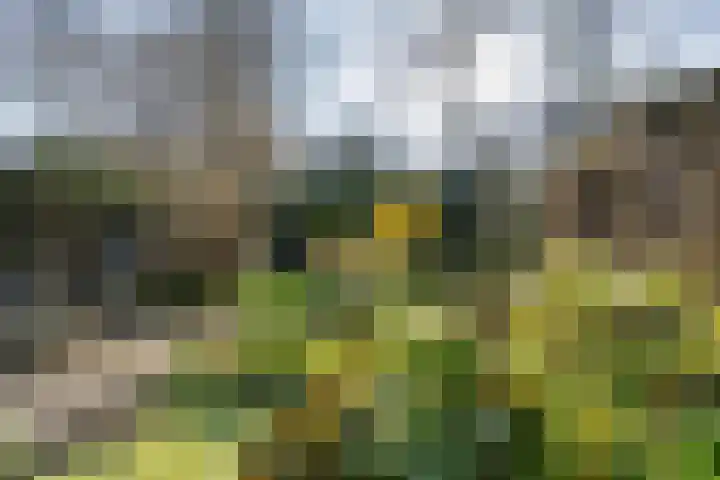 Helmhof 32 Alphen aan den Rijn thumbnail 15