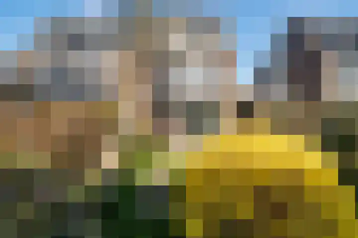 Helmhof 32 Alphen aan den Rijn thumbnail 16