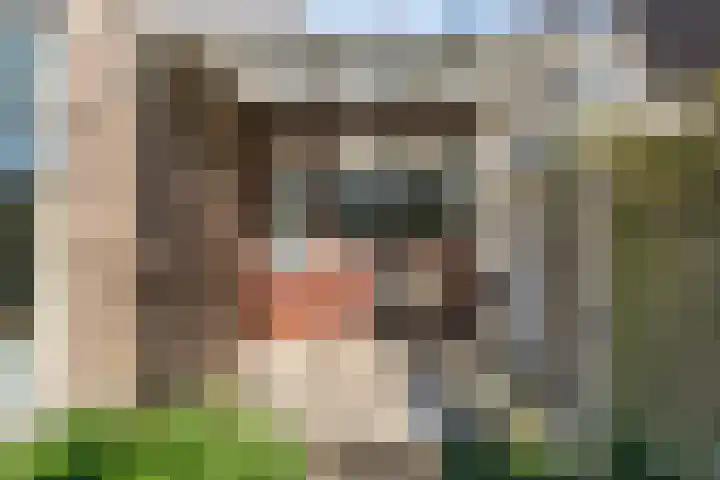 Helmhof 32 Alphen aan den Rijn thumbnail 18