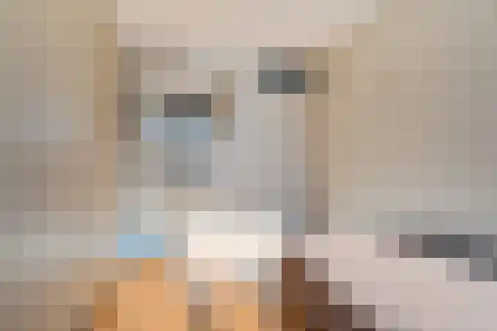 Helmhof 32 Alphen aan den Rijn thumbnail 26