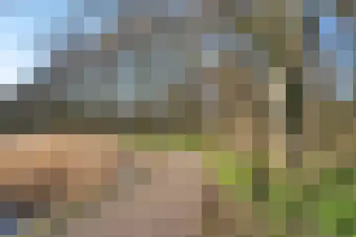 Helmhof 32 Alphen aan den Rijn thumbnail 40