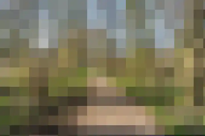 Helmhof 32 Alphen aan den Rijn thumbnail 41