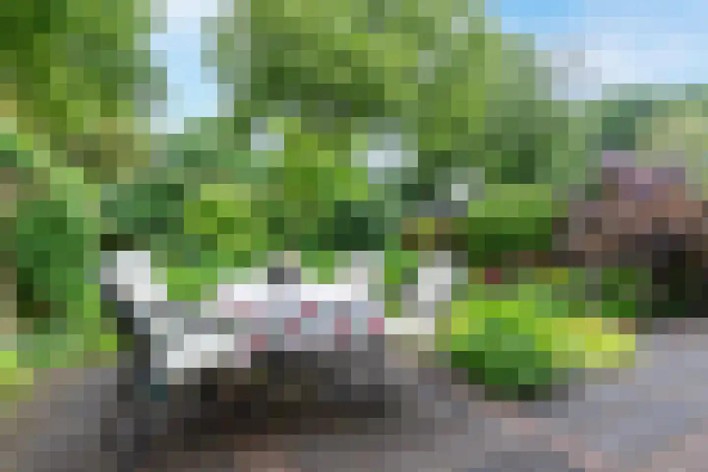 Helmhof 36 Alphen aan den Rijn thumbnail 18