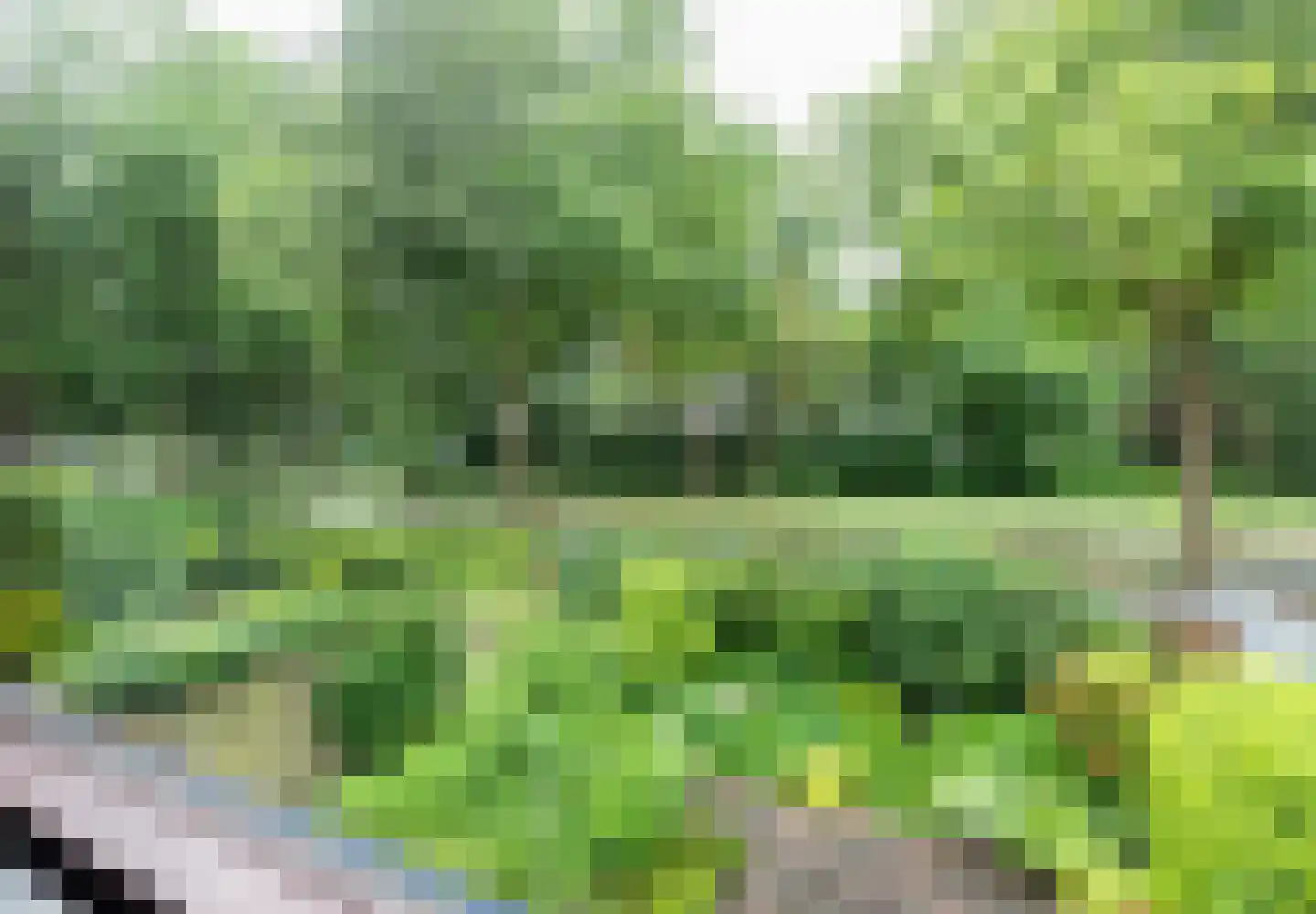 Helmhof 36 Alphen aan den Rijn thumbnail 33
