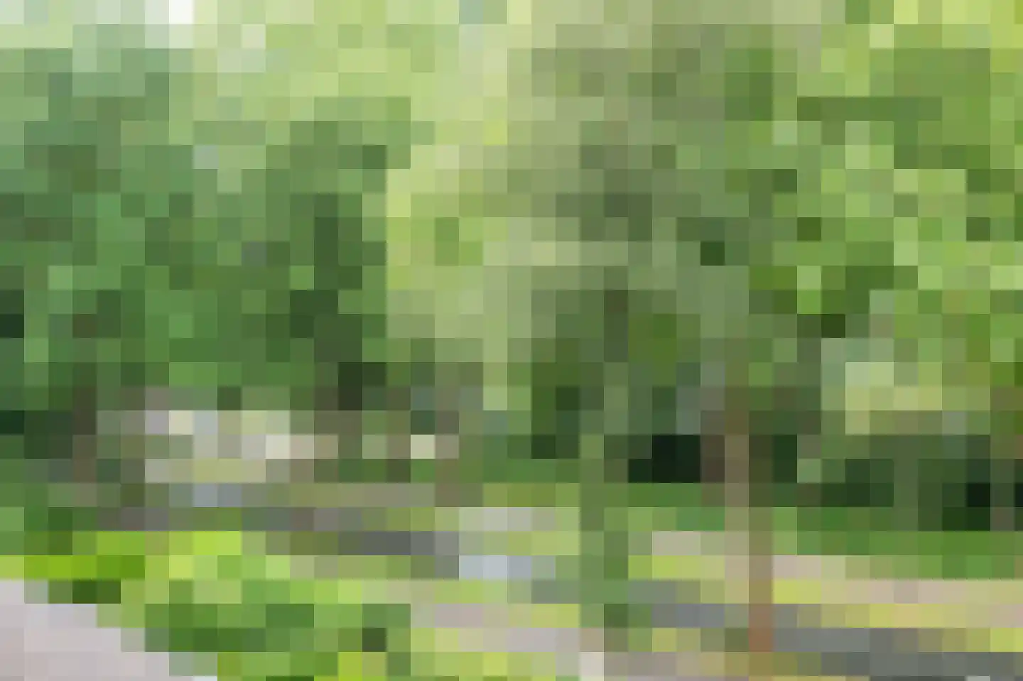 Helmhof 36 Alphen aan den Rijn thumbnail 38