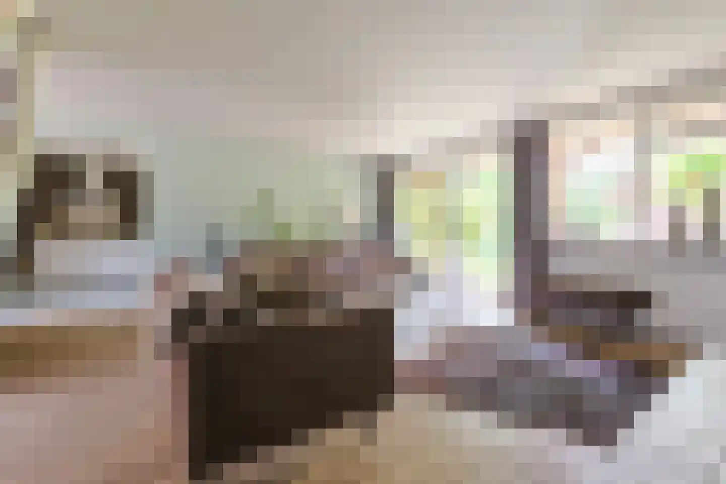 Helmhof 52 Alphen aan den Rijn thumbnail 12
