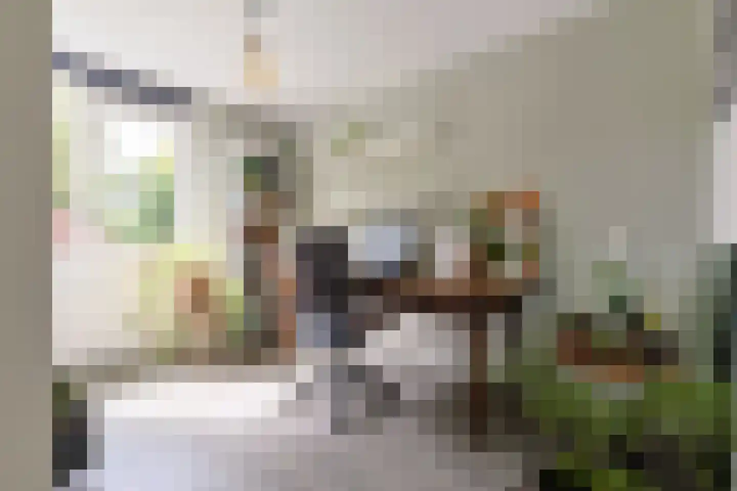 Helmhof 52 Alphen aan den Rijn thumbnail 29