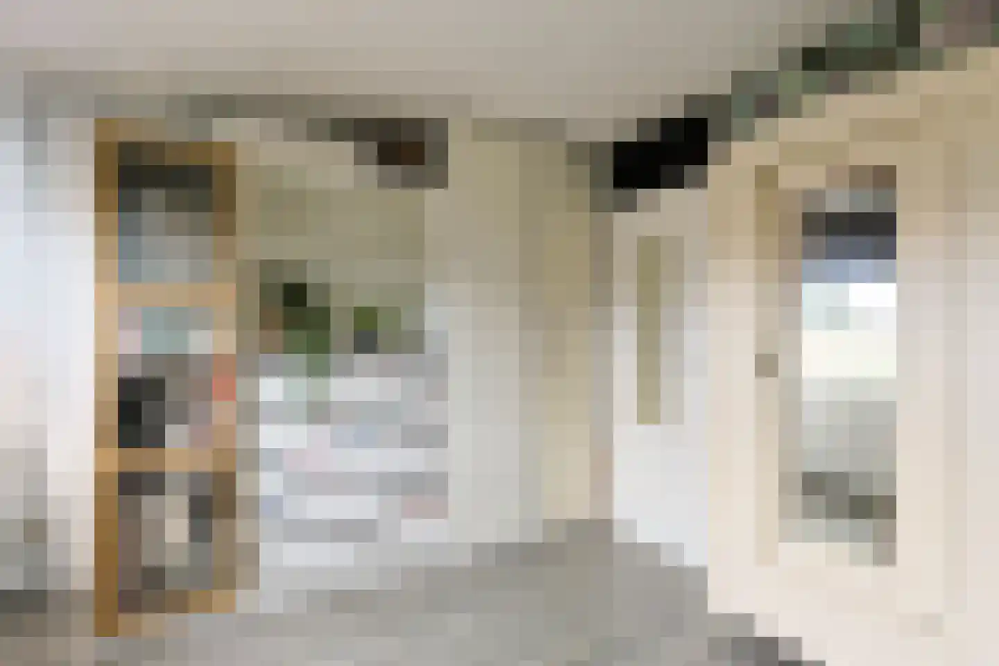 Helmhof 52 Alphen aan den Rijn thumbnail 32