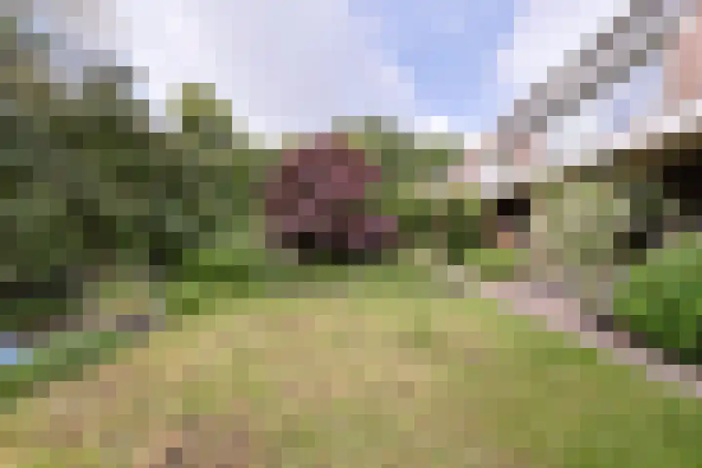Helmhof 52 Alphen aan den Rijn thumbnail 47