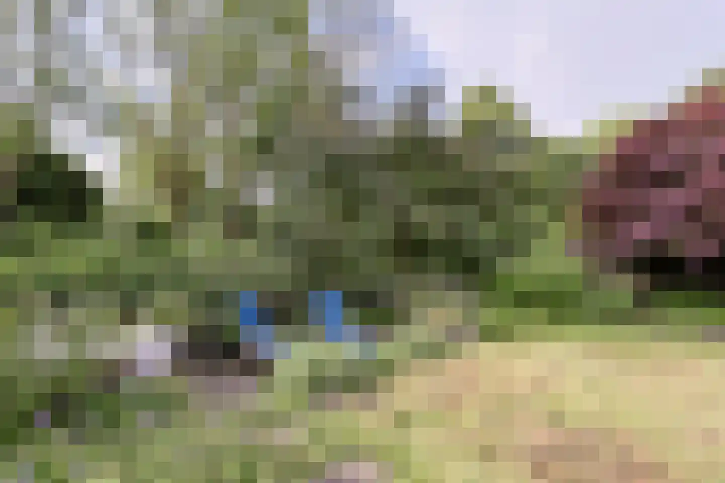 Helmhof 52 Alphen aan den Rijn thumbnail 48