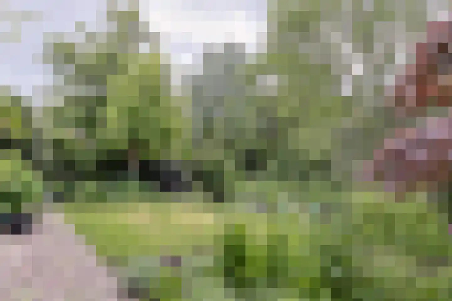 Helmhof 52 Alphen aan den Rijn thumbnail 50