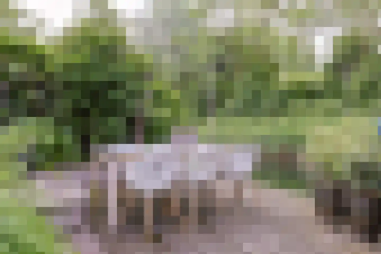 Helmhof 52 Alphen aan den Rijn thumbnail 51