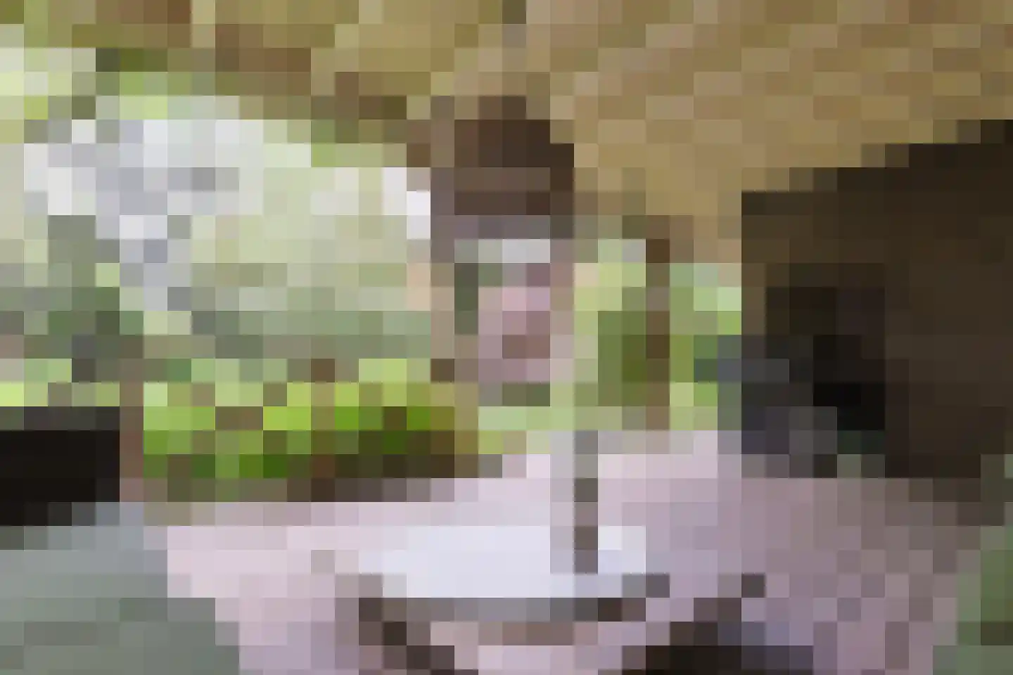 Helmhof 52 Alphen aan den Rijn thumbnail 52