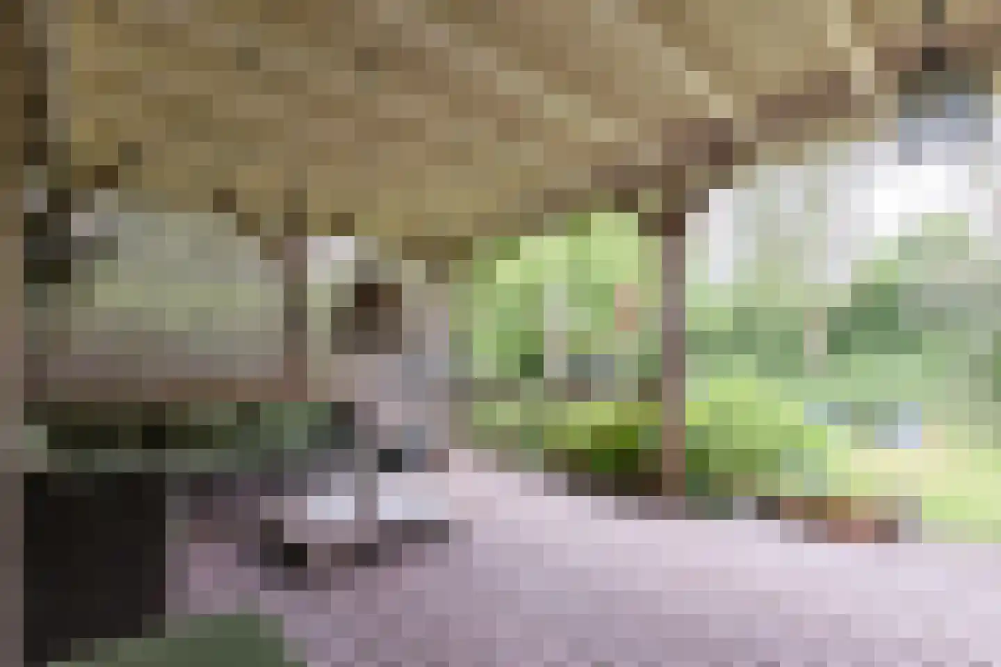 Helmhof 52 Alphen aan den Rijn thumbnail 53