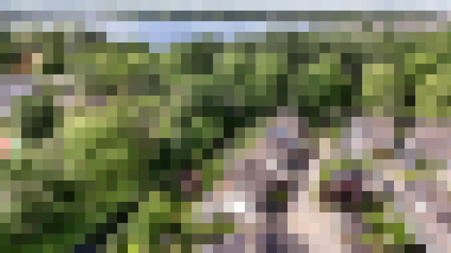 Helmhof 52 Alphen aan den Rijn thumbnail 54
