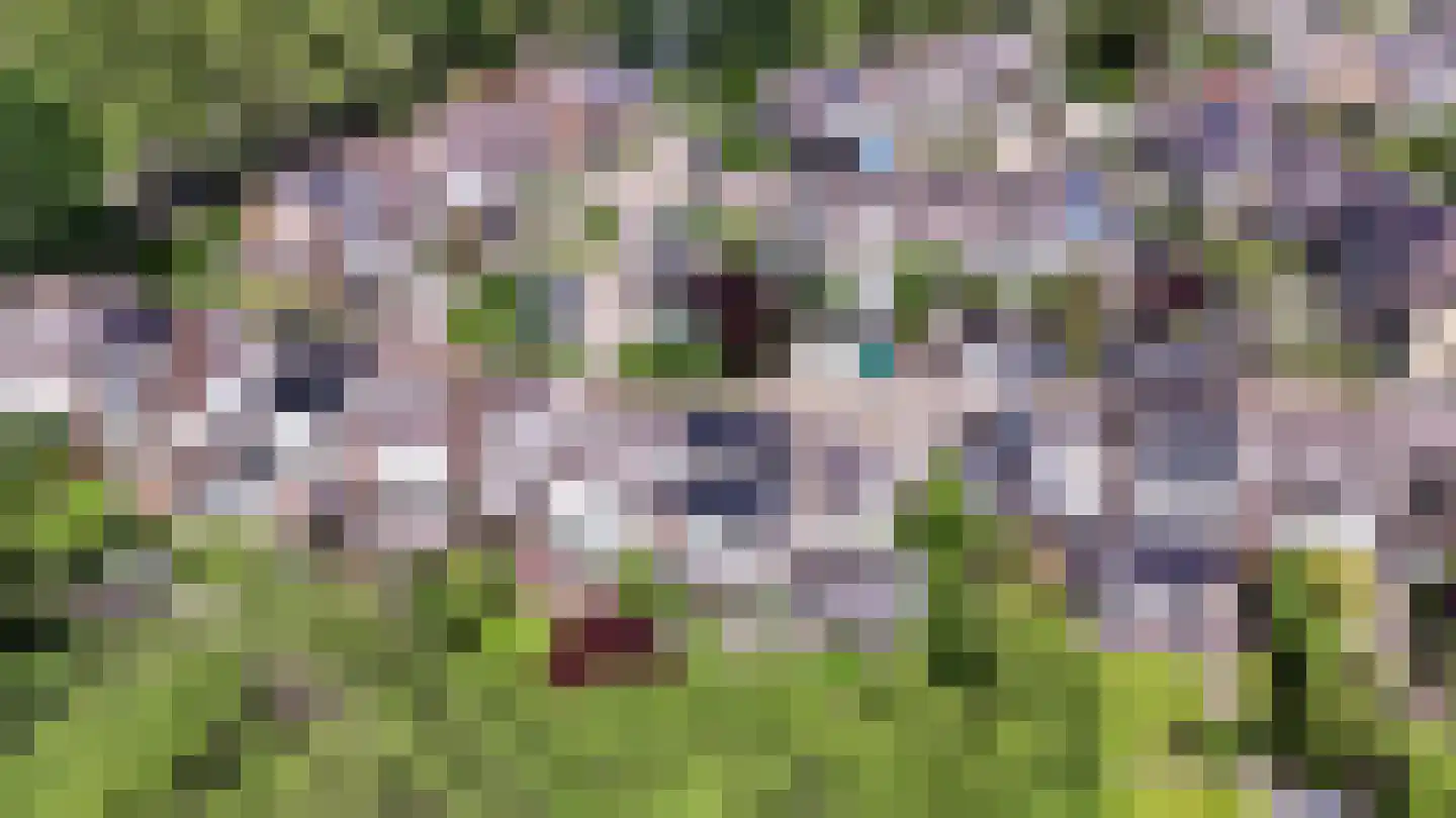 Helmhof 52 Alphen aan den Rijn thumbnail 55