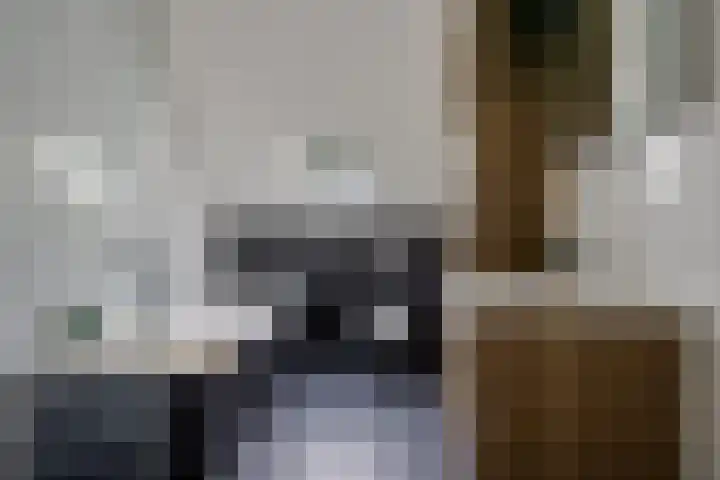 Helmholtstraat 22 Donkerbroek thumbnail 21