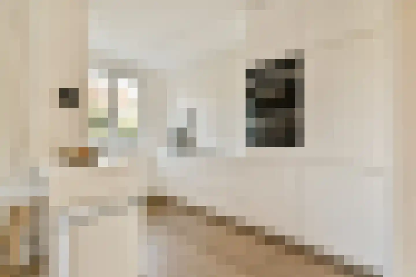 Helmholtzstraat 16 1 Amsterdam thumbnail 7