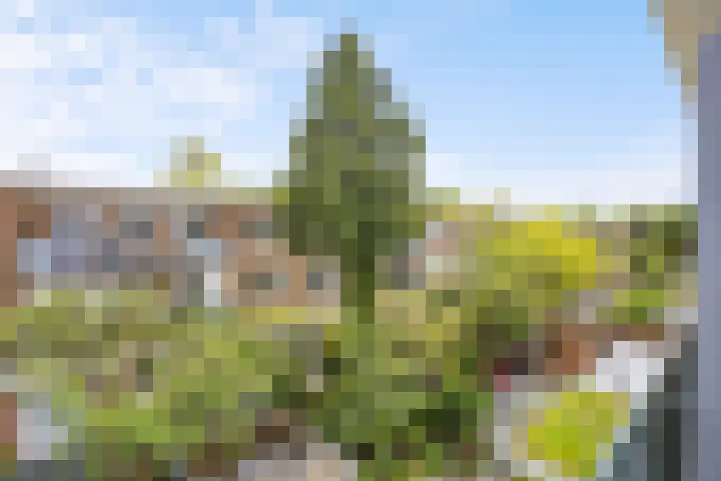 Helmholtzstraat 65 2 Amsterdam thumbnail 17