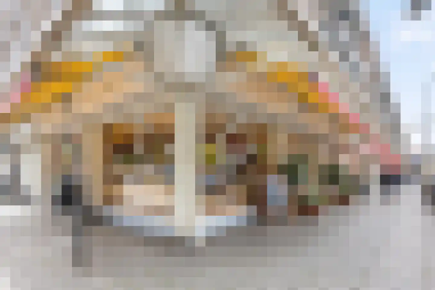 Helmholtzstraat 65 2 Amsterdam thumbnail 28