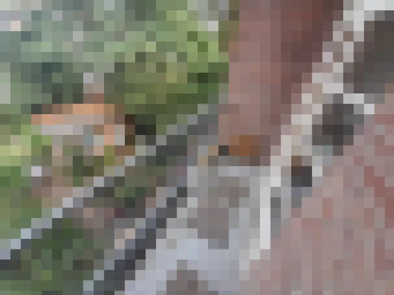 Helmholtzstraat 7 Amsterdam thumbnail 4