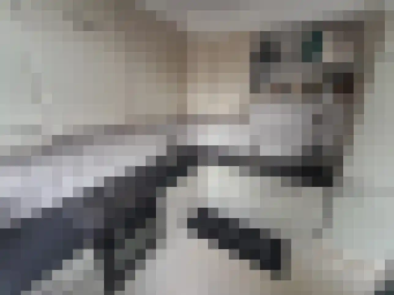Helmholtzstraat 7 Amsterdam thumbnail 7