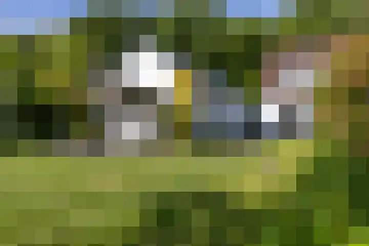 Helmhorstweg 7 Zwolle thumbnail 10