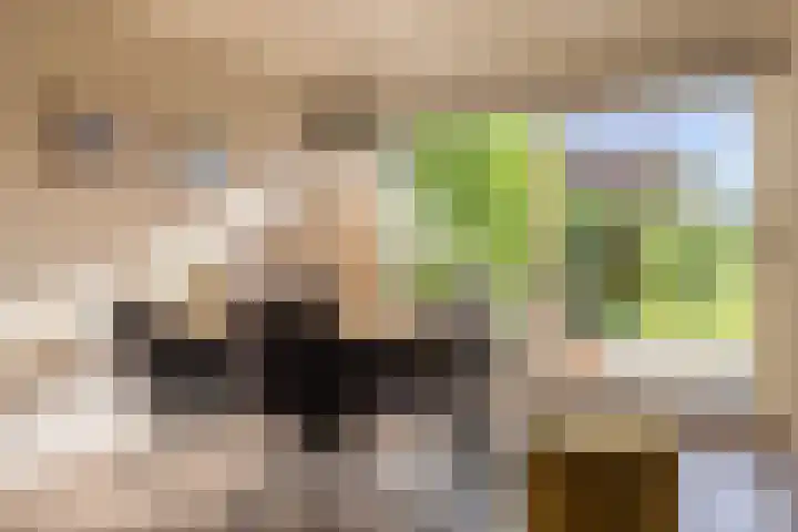 Helmhorstweg 7 Zwolle thumbnail 16