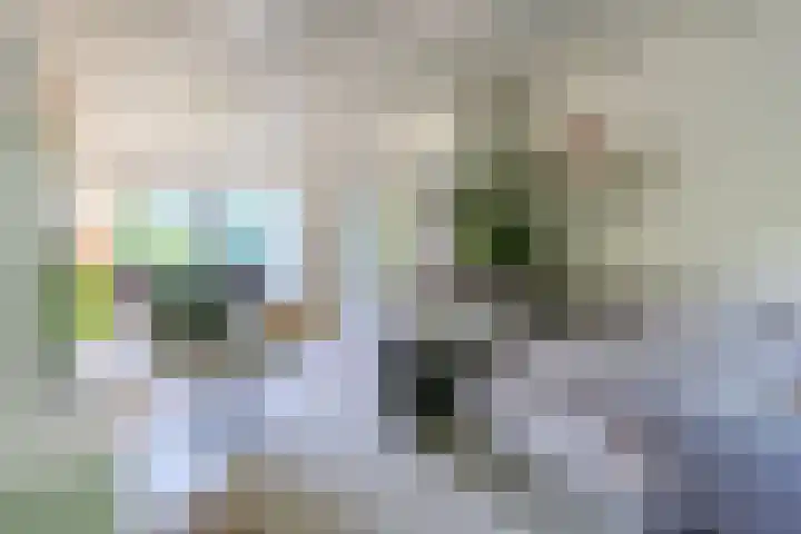 Helmhorstweg 7 Zwolle thumbnail 17