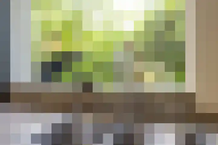 Helmhorstweg 7 Zwolle thumbnail 21