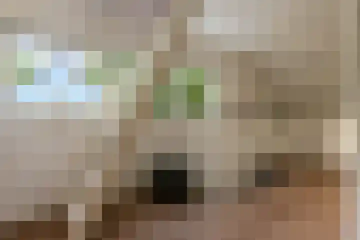 Helmhorstweg 7 Zwolle thumbnail 23