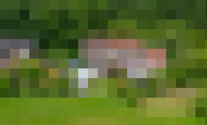 Helmhorstweg 7 Zwolle thumbnail 31