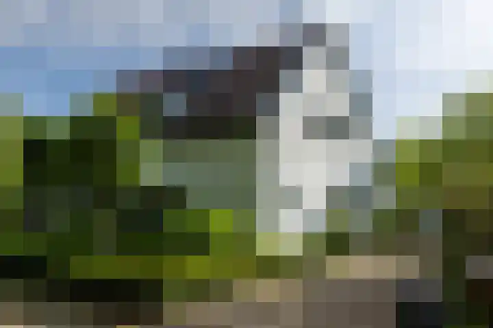 Helmhorstweg 7 Zwolle thumbnail 34