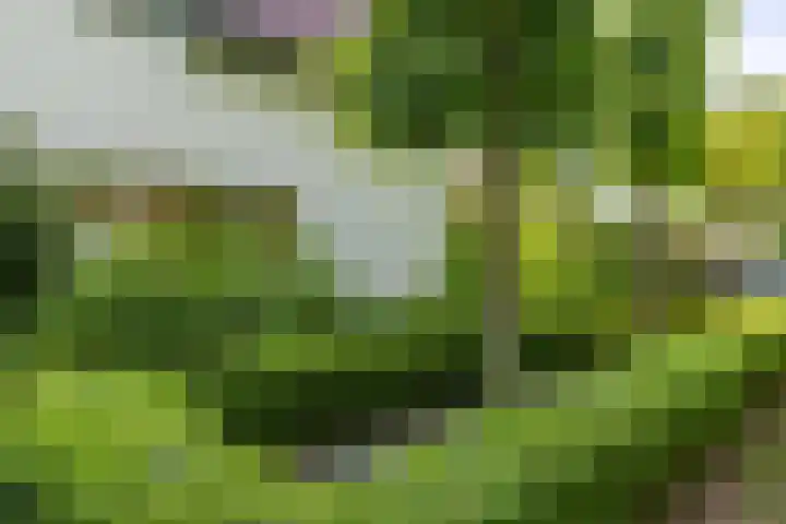 Helmhorstweg 7 Zwolle thumbnail 35