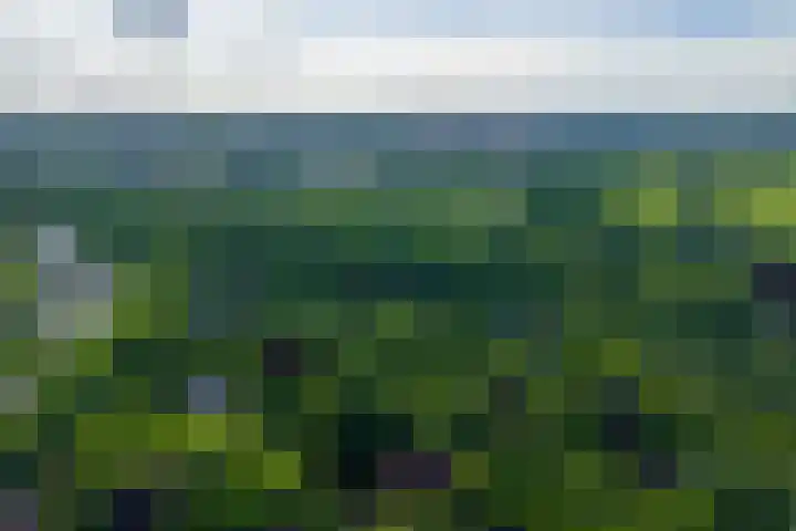 Helmhorstweg 7 Zwolle thumbnail 39