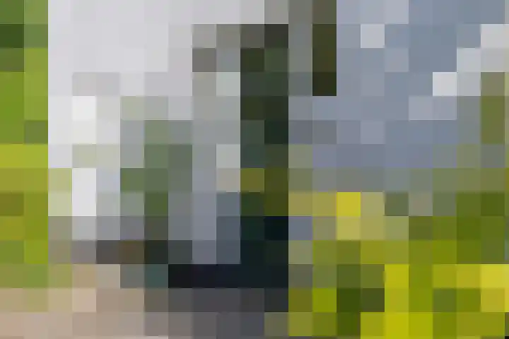 Helmhorstweg 7 Zwolle thumbnail 4