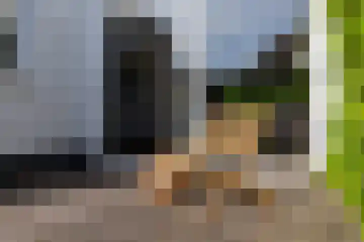 Helmhorstweg 7 Zwolle thumbnail 6