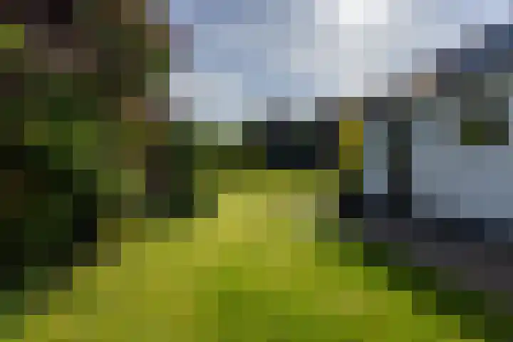 Helmhorstweg 7 Zwolle thumbnail 7