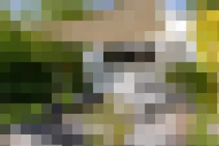 Helmhorstweg 7 Zwolle thumbnail 8