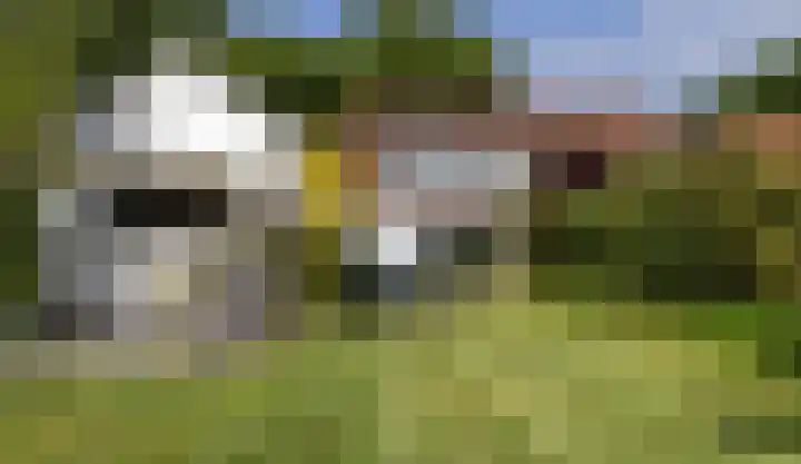 Helmhorstweg 7 Zwolle thumbnail 9